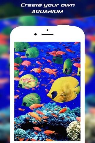 Live Wallpaper Maker For Live Photo - Convert any Video and Wallpapers to Animated Live Wallpapers for iPhone 6s and 6s Plus screenshot 2