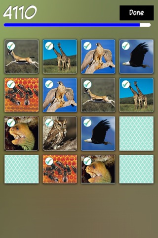Match Animals - Find the Pair screenshot 2