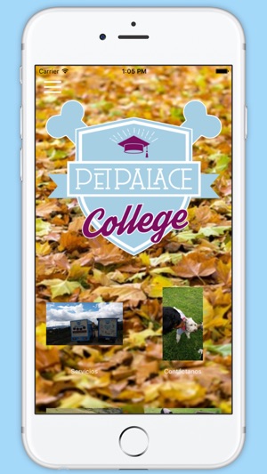 PetPalace College(圖3)-速報App