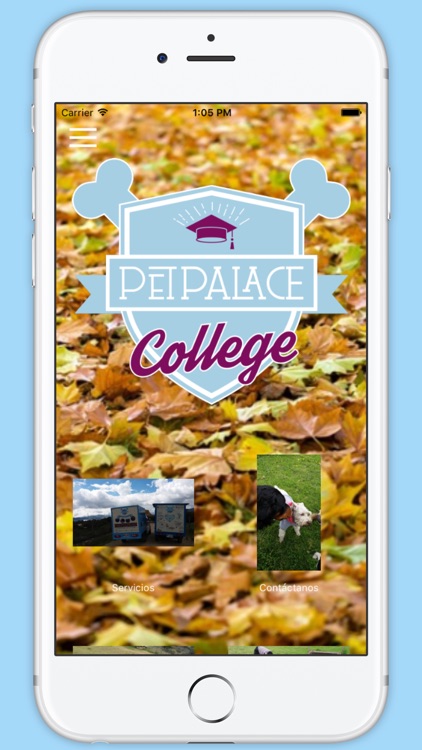 PetPalace College