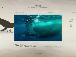 Game screenshot The Hunt - BBC Earth - Natural History Interactive TV Series apk