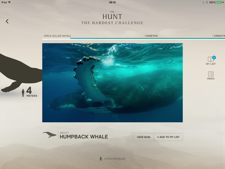 The Hunt - BBC Earth - Natural History Interactive TV Series