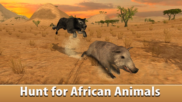 Black Wild Panther Simulator 3D - Be a wild cat in animal simulator!