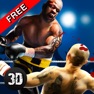 Get Real Punch Box Fighting 3D for iOS, iPhone, iPad Aso Report