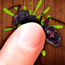 Activities of Ant Clash ^-^