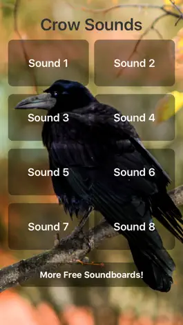 Game screenshot Crow Sounds mod apk