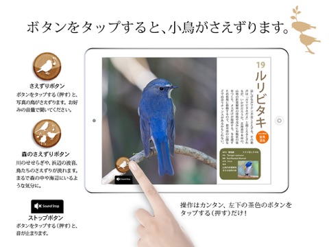 スクリーンショット 1