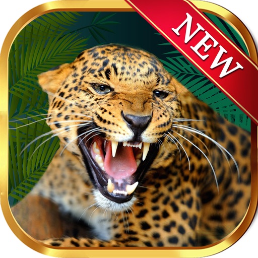 Pokies Safari Leopard - Wild Amazon Riches - Pro 777 Slot Machine Game ! iOS App