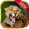 Pokies Safari Leopard - Wild Amazon Riches - Pro 777 Slot Machine Game !