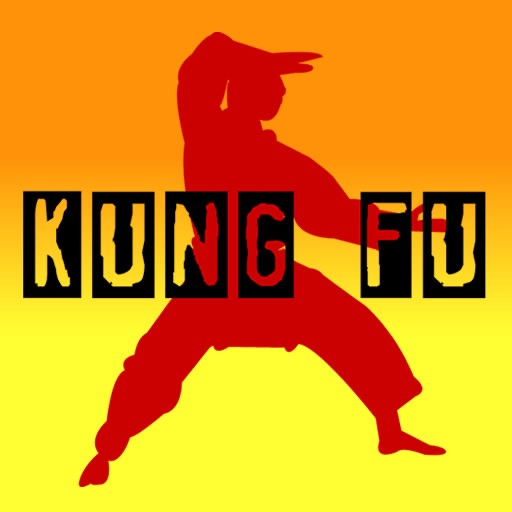 Kung Fu 2009