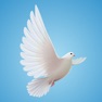 Get Dove Sounds for iOS, iPhone, iPad Aso Report
