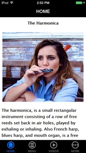 Let's Play Harmonica - Easy Beginner's Guide(圖1)-速報App