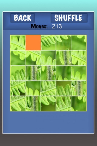 Puzzle that Puzzle - Slide me! - Free screenshot 4