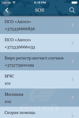 ПСО «Ангел» screenshot 3