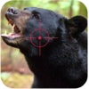 Black Stray Bear Hunt Attack Forest Hunt-Man