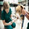 How To Become A Vet is an app that includes helpful information on how to become a vet