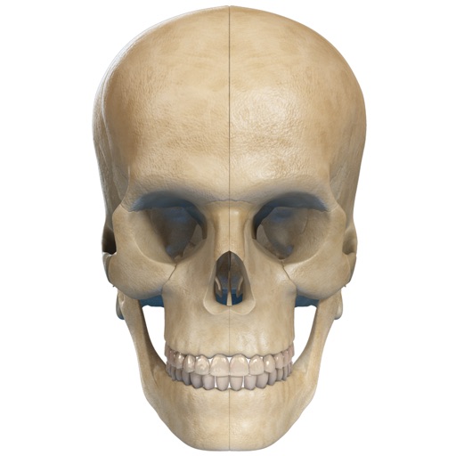 Virtual Reality(VR) Human Skull iOS App