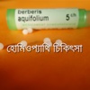 Homeopathy Medicine in Bangla -  To Get Better Results from Homeopathy Treatment