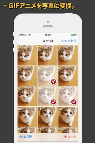 GIF Cracker - GIF to Video screenshot 2