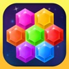 Hexagon Blast - 10/10 Block Fit Puzzle Game Super Kings