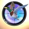 Duck Hunter - free duck hunting games, duck hunt simulator