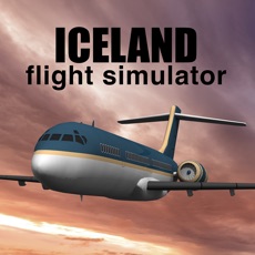 Activities of Iceland Flight Simulator