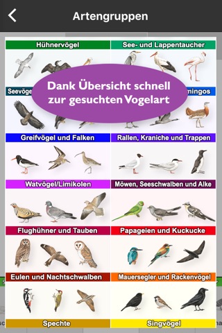 Birds of Europe Guide screenshot 4