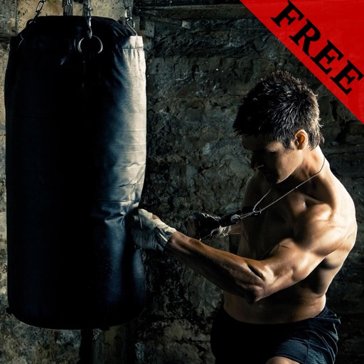 Boxing Photos and Video Galleries FREE icon