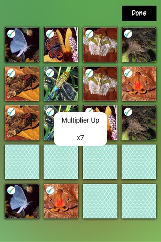 Match Insects screenshot 2
