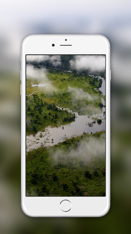 Congo TV Online screenshot-4