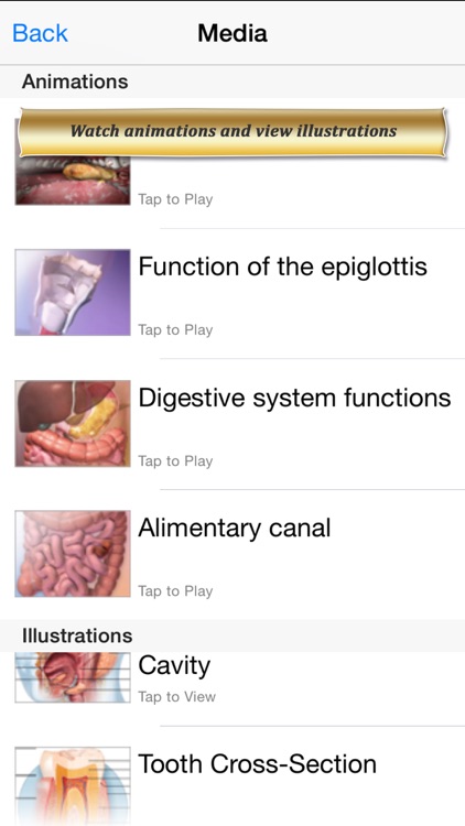 Digestive Anatomy Atlas 6 for Springer screenshot-3