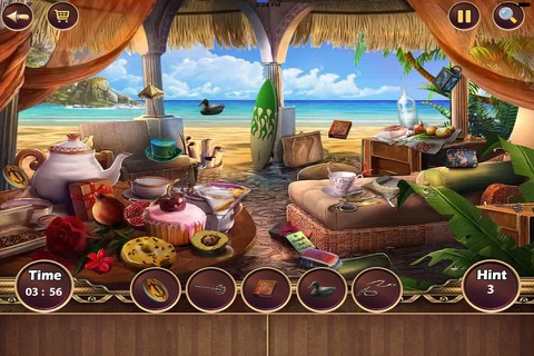 Remember Day Hidden Object screenshot 3