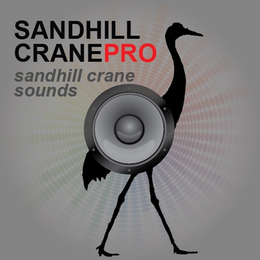 SandHill Crane Calls- SandHill Crane Hunting Call HD icon