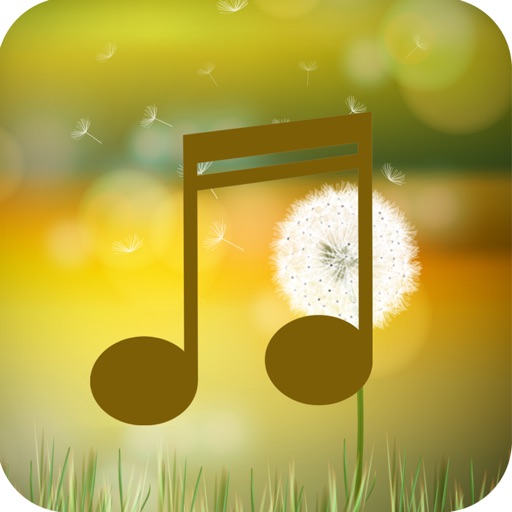 Wind Sounds-Free Nature & White Noise Meditation icon
