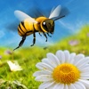 Honey Bee Attack Flying 3D Simulator Game- Fly to Kill Enemy Insects