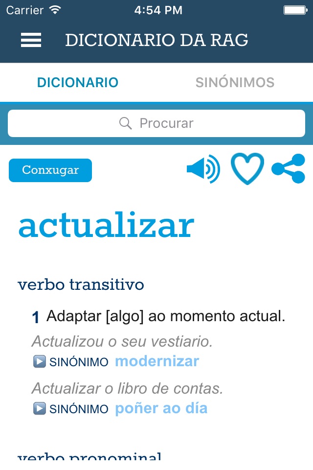 Dicionario RAG screenshot 3