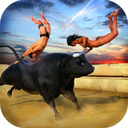 Bull Attack Simulator 2016