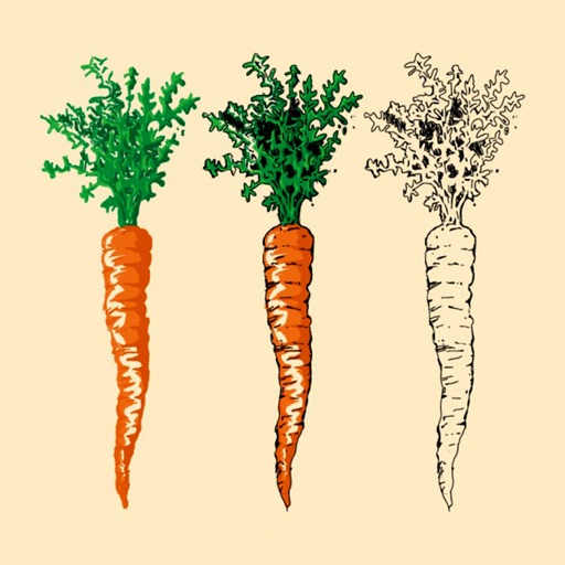 Carrot 101:Diet,Cooking Recipes and Healthy icon