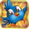 Forest Birdy Chirping - Funny Bird Hopper