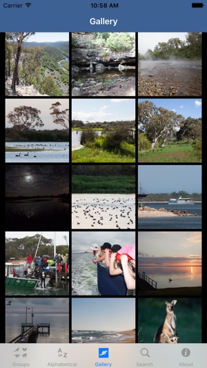 Wildlife Field Guide to Gippsland Lakes(圖5)-速報App