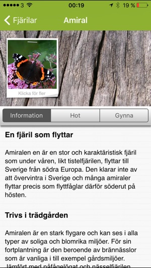 Fjärilar(圖2)-速報App