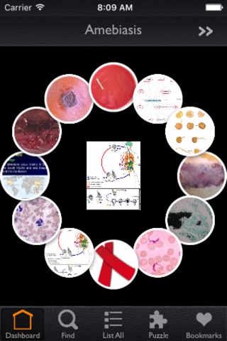 Infectious Diseases Database screenshot 2