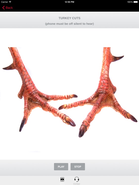 Turkey Calls for Hunting Big Spring Tom Turkeys screenshot-0