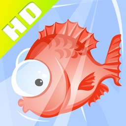 Bango24 - How smart are you?