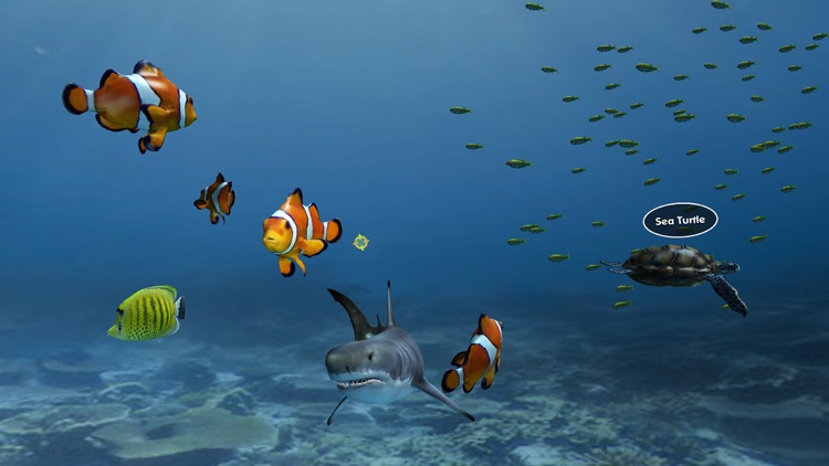 Aquarium VR