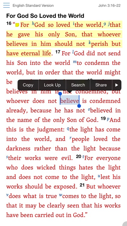 Verbum Catholic Bible Study screenshot-4