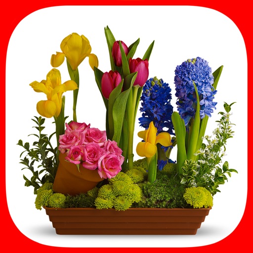 Flower Sticker! Orchids & Irises Bouquets! icon
