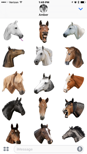 Horse Head(圖1)-速報App