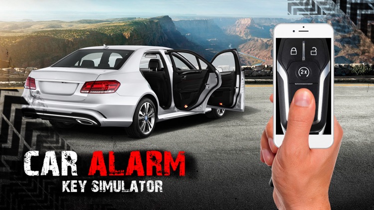 Car alarm key simulator