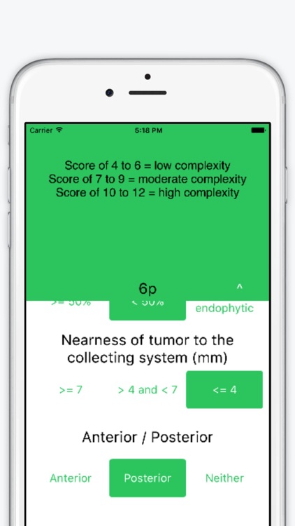 Nephrometry Score